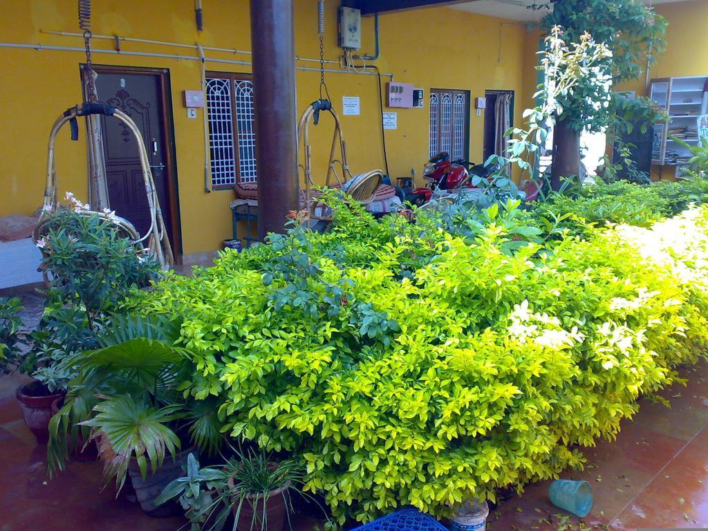 Archana Guest House River View Hampi Bagian luar foto